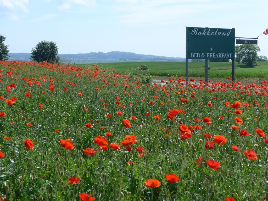 Bakkelund Bed & Breakfast Borre Buitenkant foto